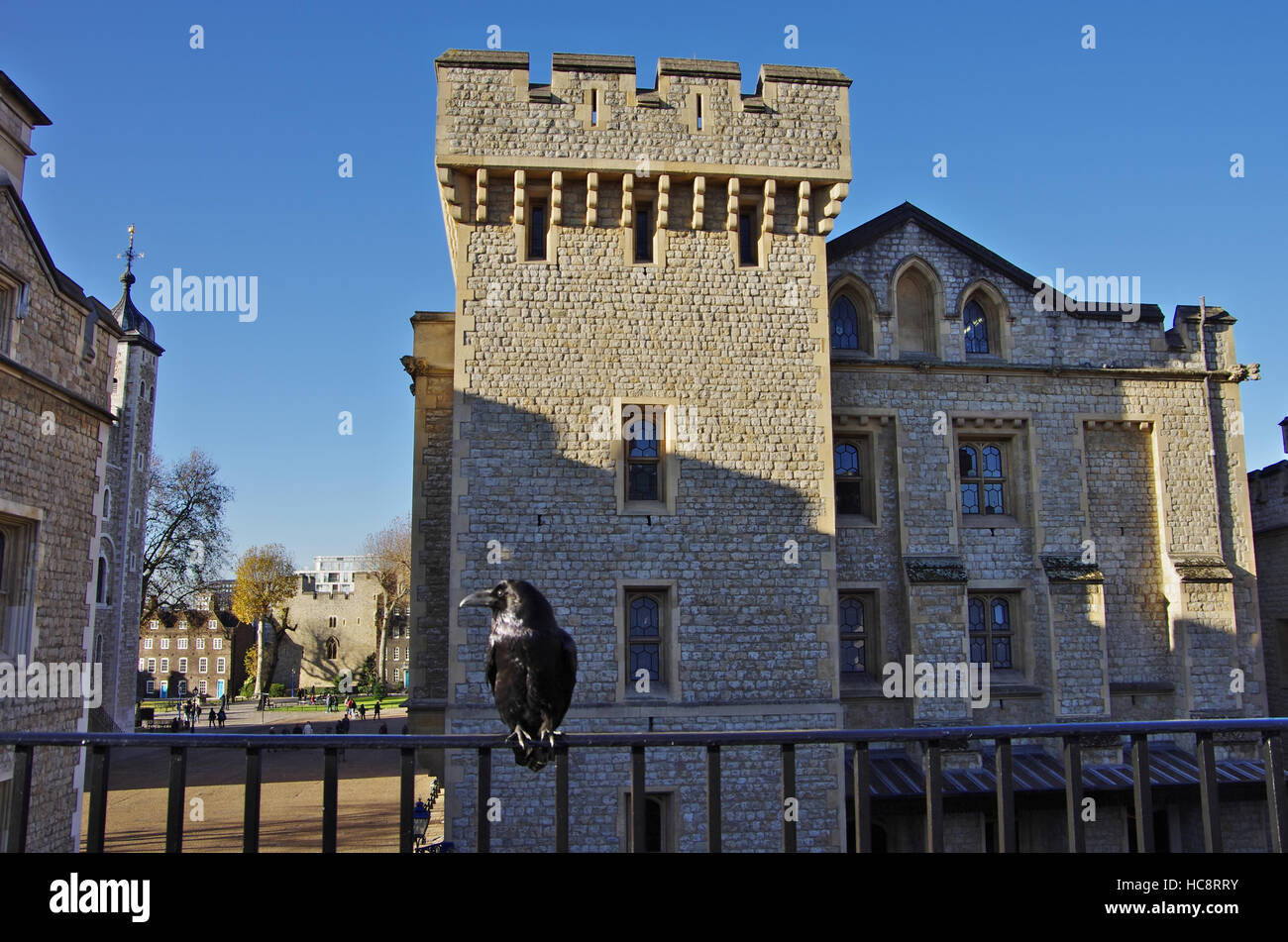Un Corbeau A La Tour De Londres Photo Stock Alamy Un Corbeau A La Tour De Londres Photo Stock Alamy