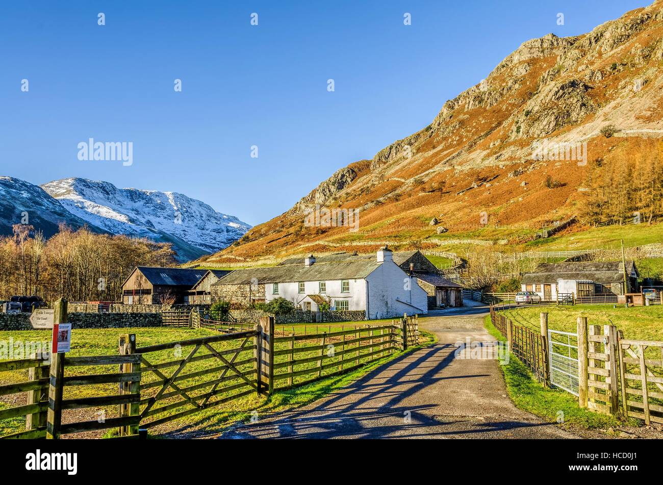 À Langdale ferme dans le Lake District Banque D'Images