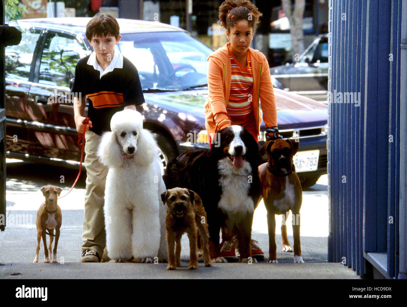 Bon garçon !, Nelly le chien, Liam Aiken, Barbara Ann le chien, le