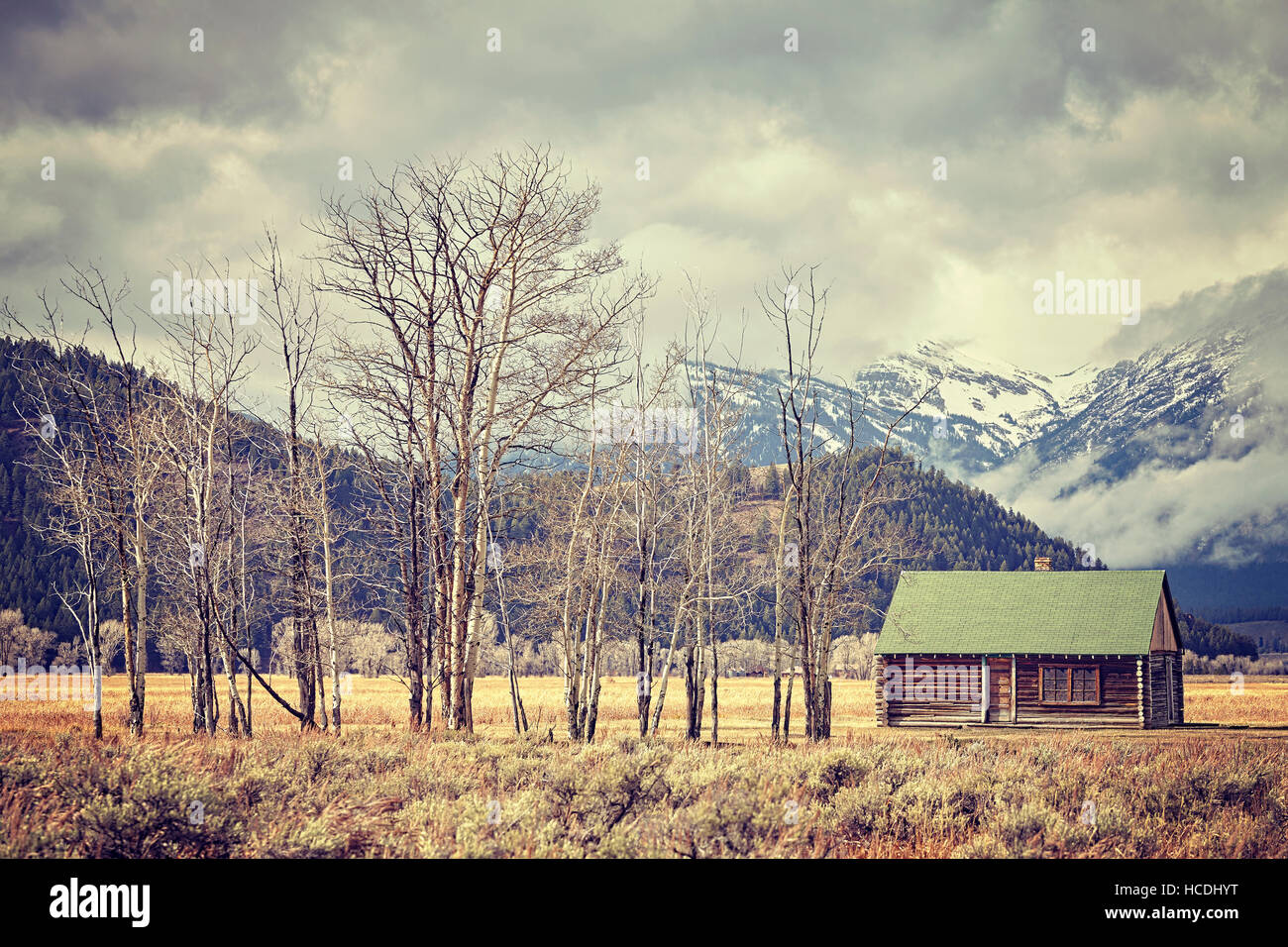 Tons Retro old abandoned hut dans le Parc National de Grand Teton, Wyoming, États-Unis. Banque D'Images Tons Retro old abandoned hut dans le Parc National de Grand Teton, Wyoming, États-Unis. Banque D'Images