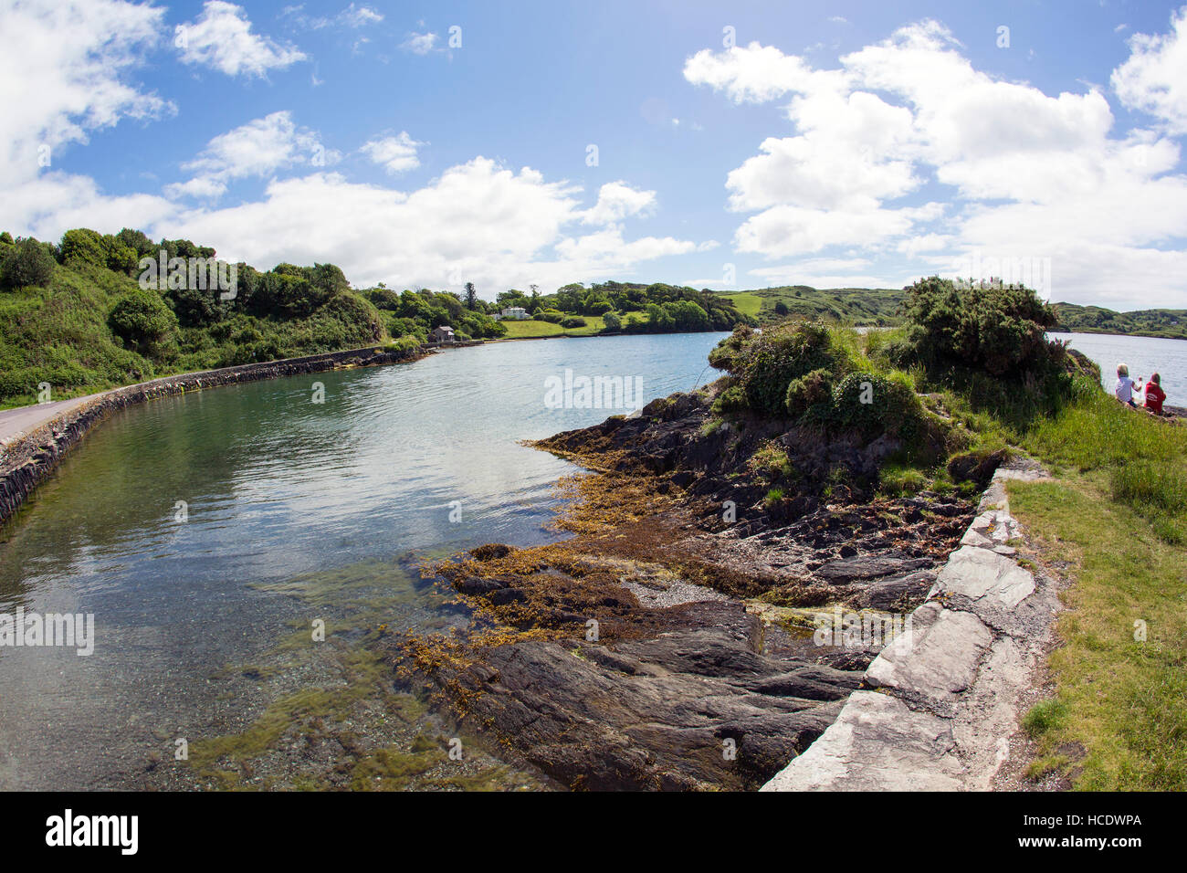 Lough hyne lac d'eau salée West Cork Banque D'Images