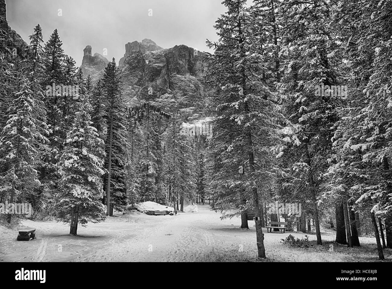 Forêt entre les villages de Corvara in Badia et dans la saison d'hiver avec Groupe du Sella en arrière-plan Banque D'Images