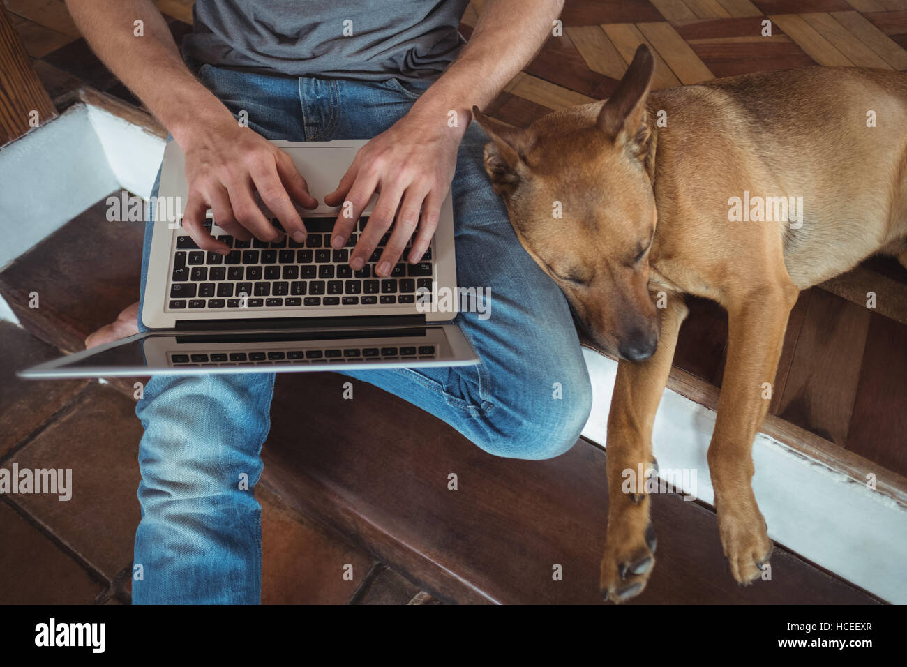 Homme assis sur l'étape et à l'aide d'ordinateur portable, le chien couché à côté de lui Banque D'Images