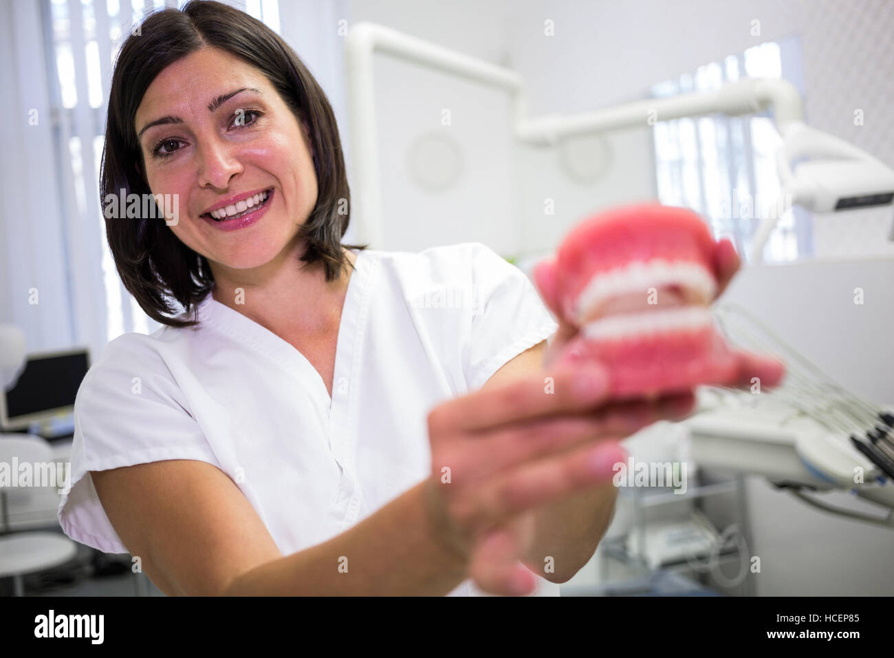 Portrait of female dentist holding d'un ensemble de prothèses dentaires Banque D'Images