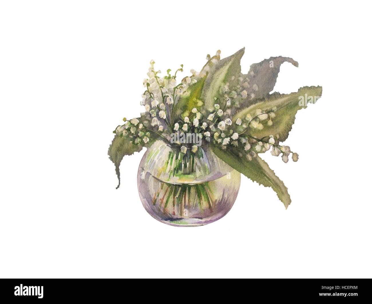 Les lys de la vallée. Aquarelle illustration dessiné à la main. Banque D'Images
