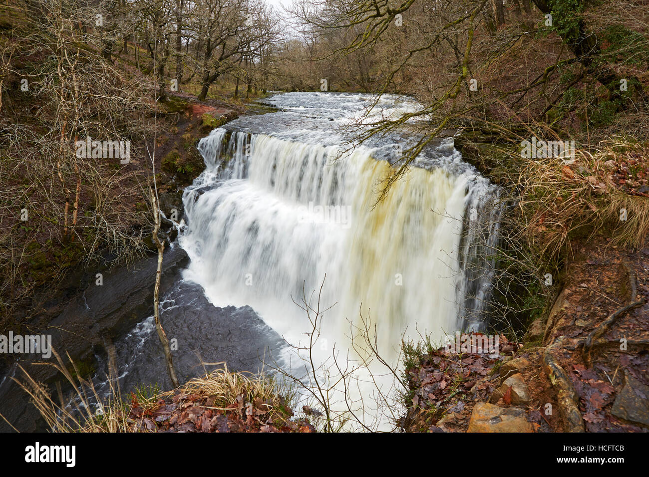 Sgwd Fias Oisans-gwyn cascade sur la rivière près de Pontneddfechan Mellte, Neath Valley, Brecon Beacons, Wales, UK Banque D'Images