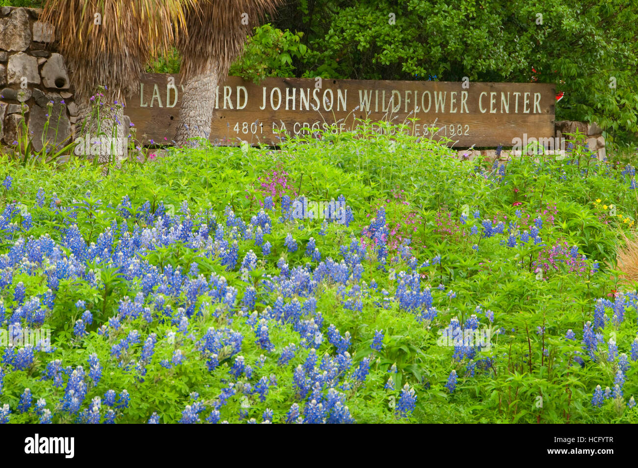 Panneau d'entrée, Ladybird Johnson Wildflower Center, Austin, Texas Banque D'Images