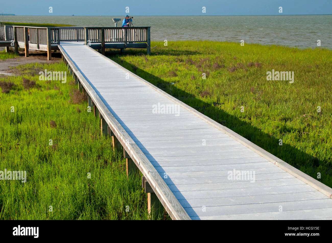 L'observation des oiseaux, promenade Aransas National Wildlife Refuge, Texas Banque D'Images