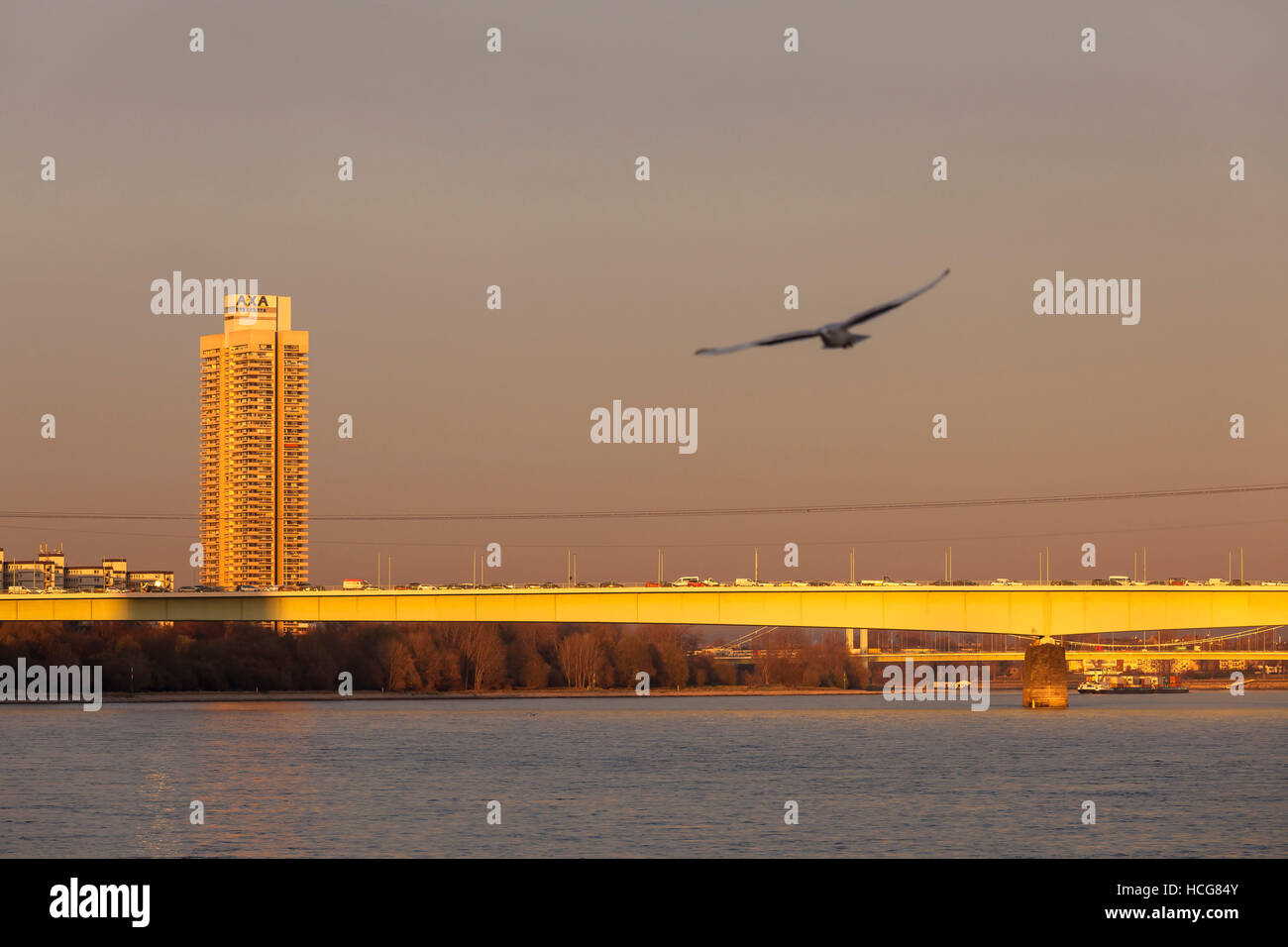 Allemagne, Cologne, le Zoo pont sur le Rhin et le gratte-ciel. Colonia-House Banque D'Images