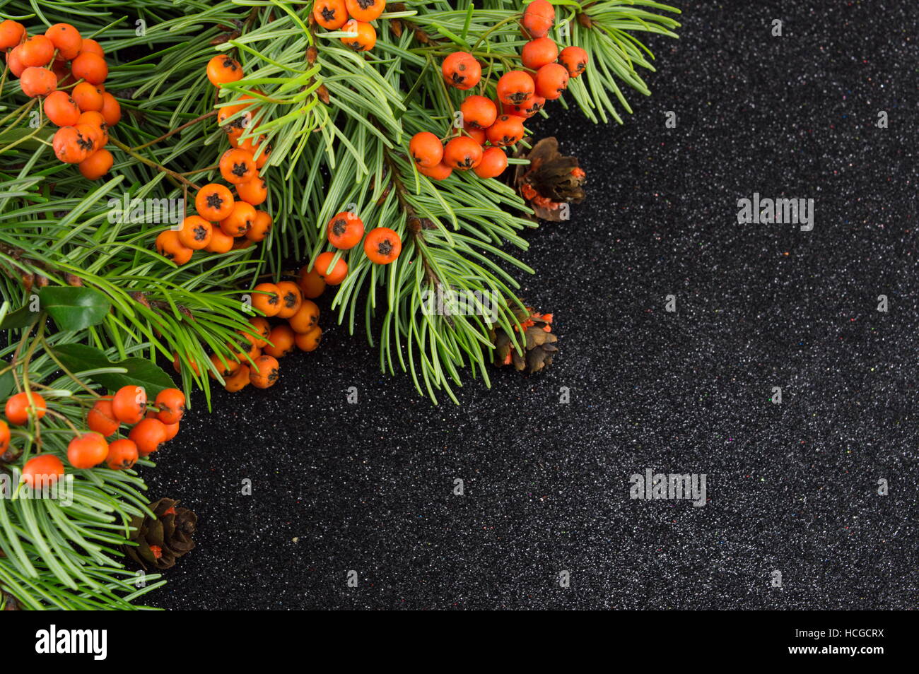 Gui et sapin sur fond brillant foncé. Temps de Noël Banque D'Images