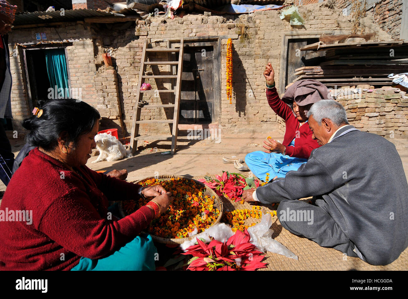 Katmandou, Népal. Le 08 mai 2016. Les dévots népalais en guirlandes de fleurs pour la décoration de char durant la célébration de l'Bishnudevi Jatra/Festival célébré Panga, Kirtipur, Katmandou, Népal le Jeudi, Décembre 08, 2016. C'est la partie de la célèbre "Saat Gaule Jatra" célébrée chaque année marquant l'arrivée de l'hiver. Jatras et festivals font partie de la vie de communauté Newar. Credit : Narayan Maharjan/Pacific Press/Alamy Live News Banque D'Images