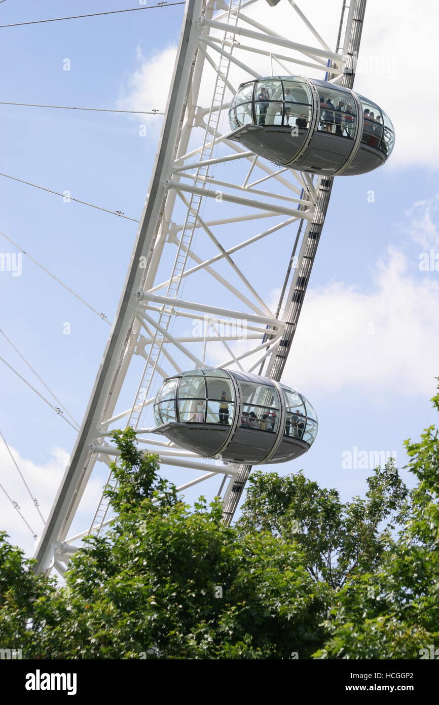 Capsules de passagers sur le London Eye s'élever au-dessus des arbres sur la rive sud de la Tamise dans le centre de Londres Banque D'Images