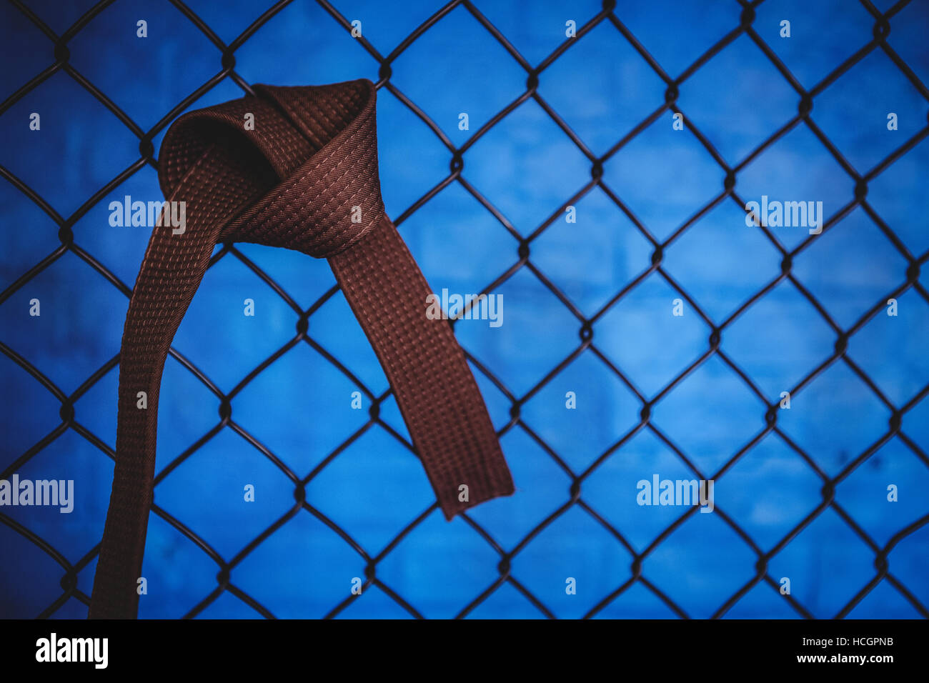 Ceinture marron de karaté hanging on wire mesh fence Banque D'Images