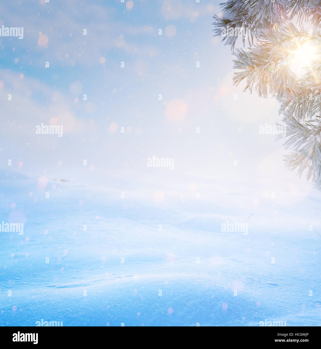 Blue Christmas Tree ; hiver neige Paysage de Noël Banque D'Images