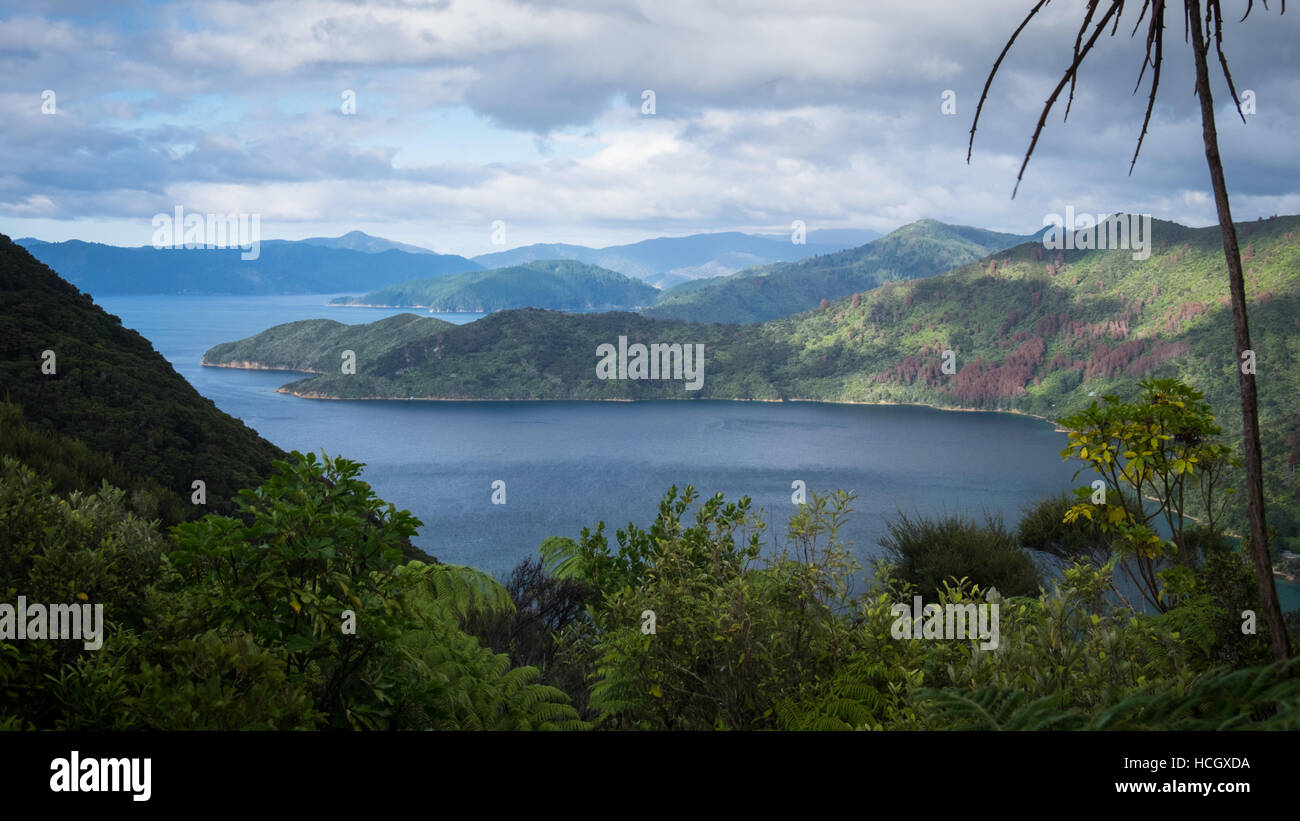 Marlborough Sounds, Nouvelle-Zélande Banque D'Images