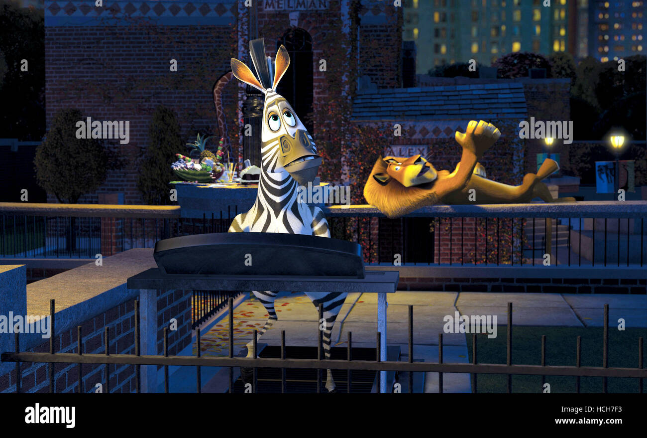 MADAGASCAR, Marty, Alex, 2005, (c) DreamWorks/avec la permission d'Everett Collection Banque D'Images