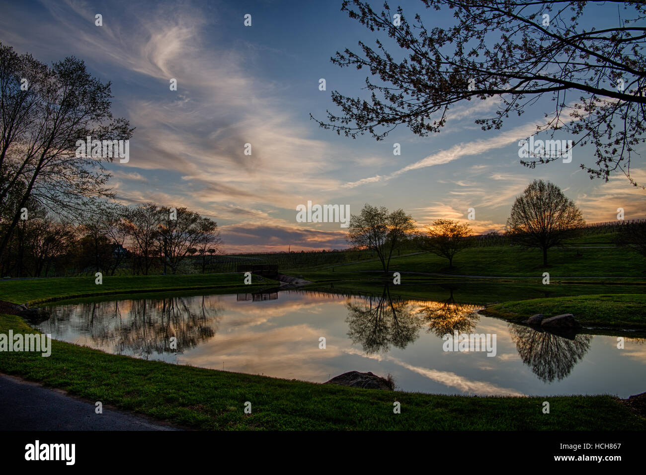 Coucher de soleil avec nuages spectaculaires reflétées dans un étang avec des branches d'arbre Banque D'Images