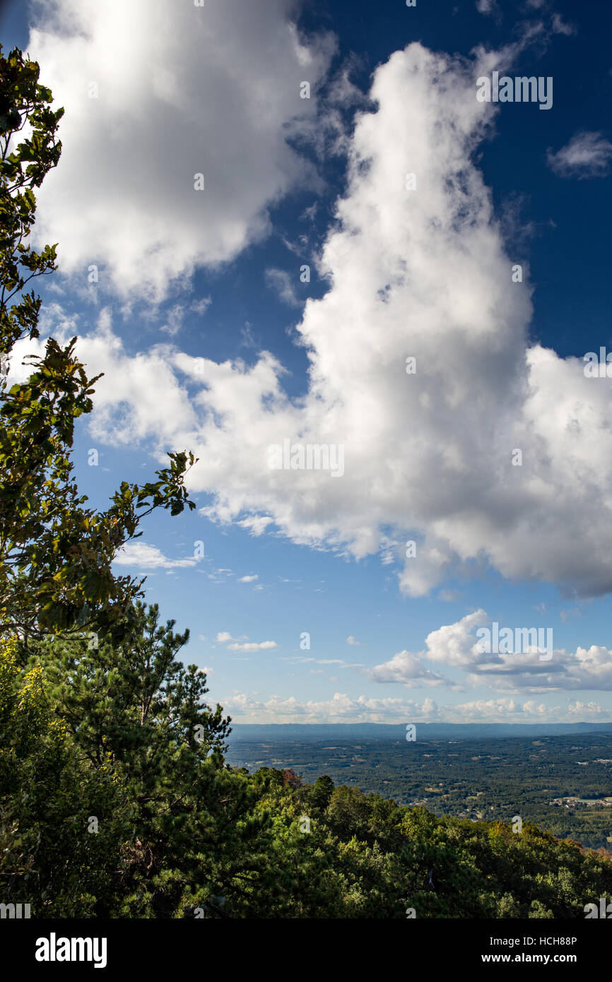Tall fluffy clouds miroir un grand arbre en premier plan avec l'horizon visible dans la distance Banque D'Images