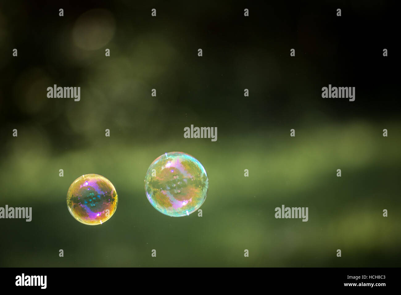 Deux bulles de savon avec différentes couleurs flottant dans l'avant d'une de-l'accent fond vert avec bokeh Banque D'Images