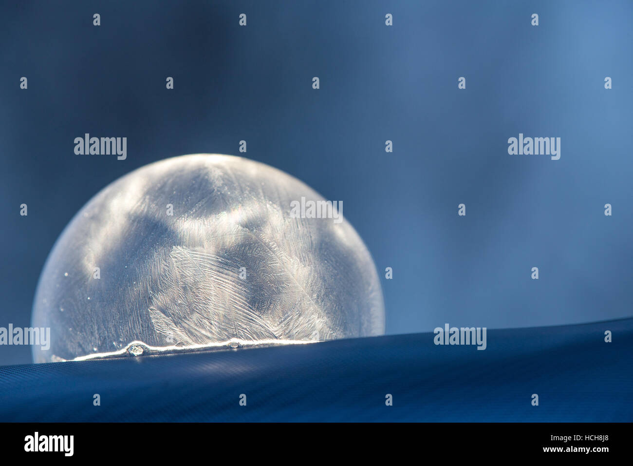 Icy, congelé bulle de savon sur la surface bleue avec fond bleu, montrant le détail de la glace qui ressemble à une plume Banque D'Images
