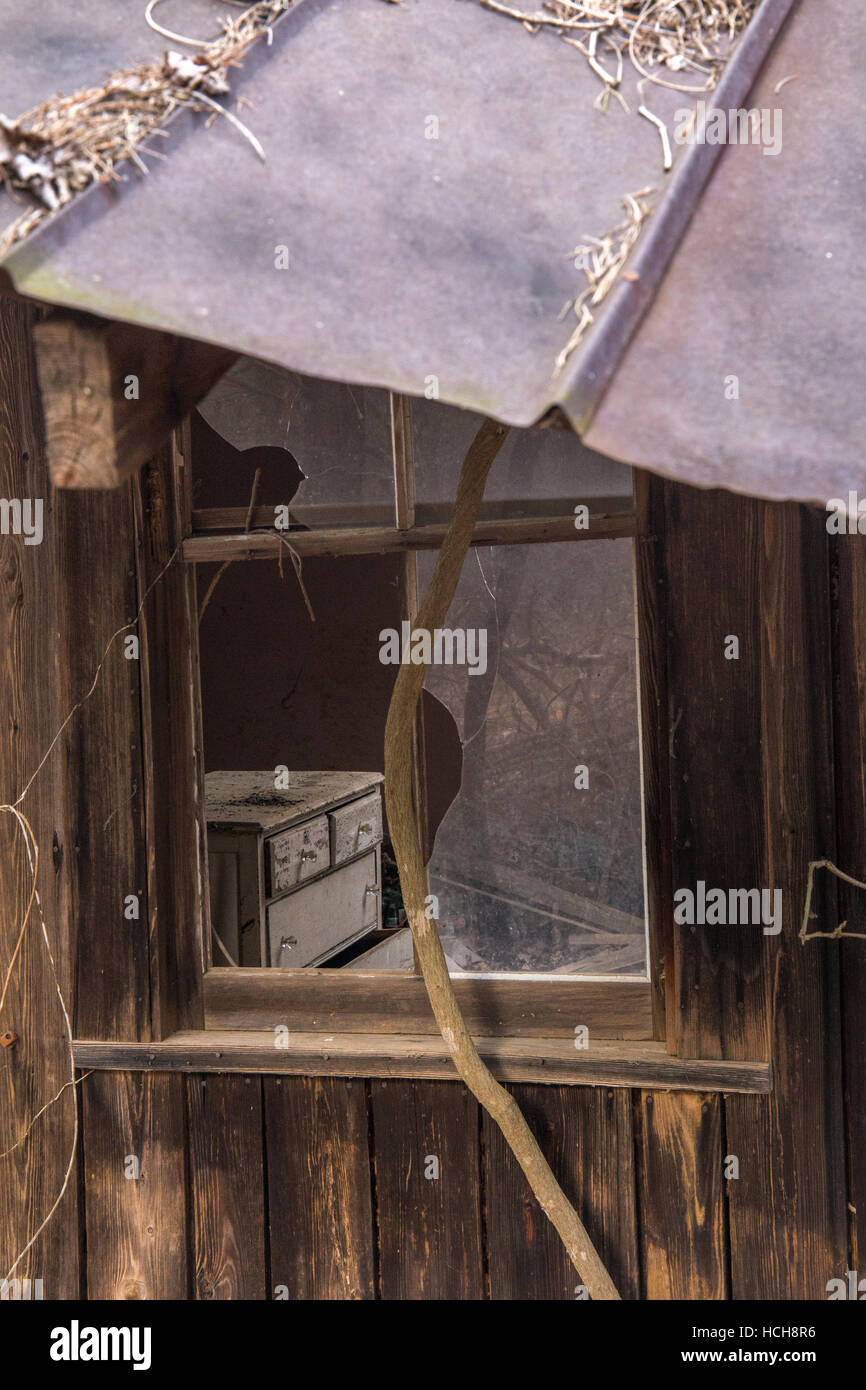 Regardant à travers la fenêtre brisée de la fenêtre d'une maison abandonnée avec toit en tôle et une commode Banque D'Images