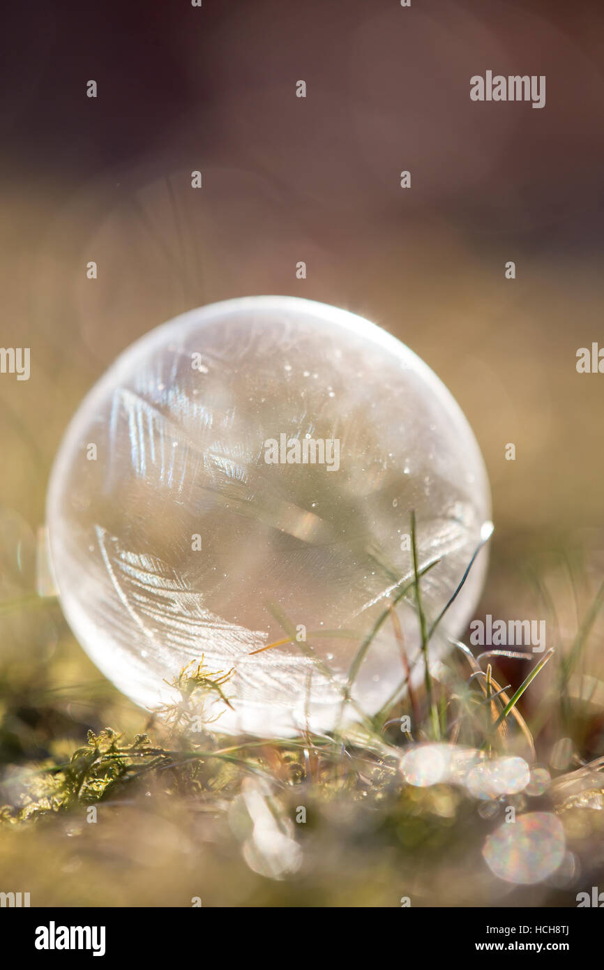 Bulle de savon glace brillants dans la lumière vive avec les modèles de glace sur l'herbe et la mousse, au sol et un bokeh montrant de-l'accent historique Banque D'Images