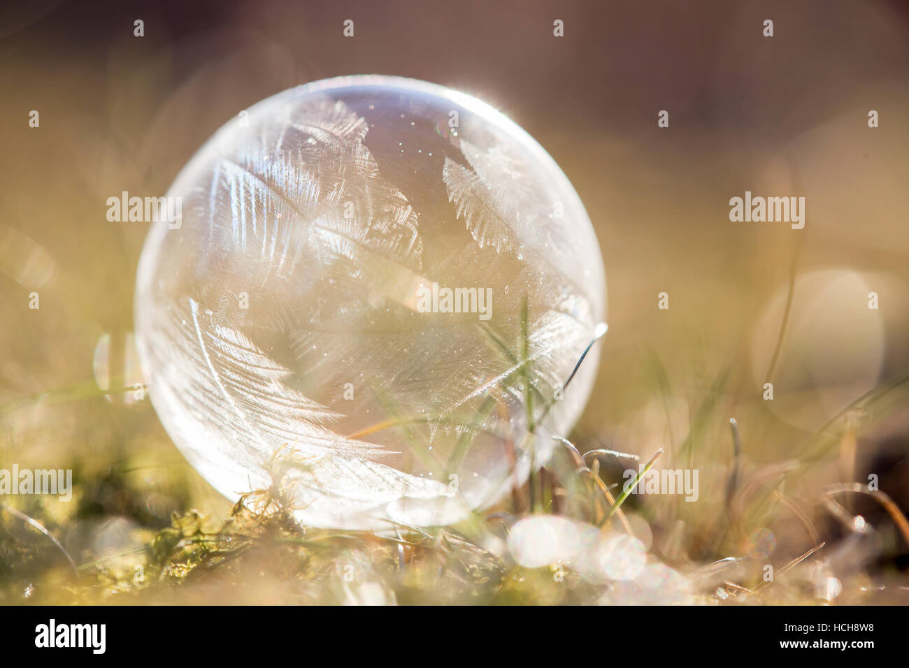 Bulle de savon glace brillants dans la lumière vive avec les modèles de glace sur un terrain herbeux et la mousse Banque D'Images