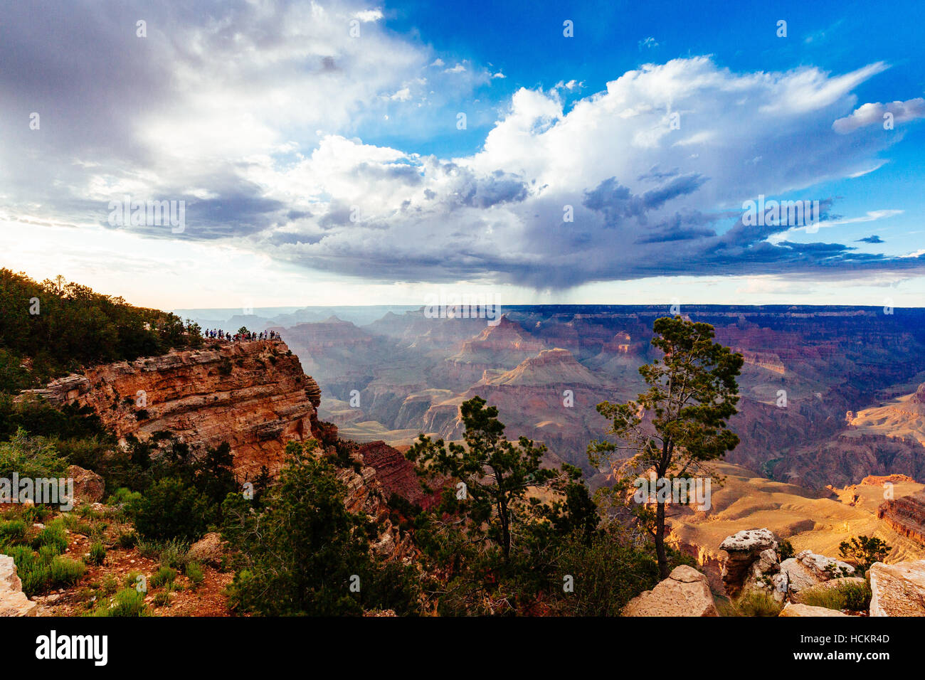 Le Parc National du Grand Canyon est les États-Unis 15e plus vieux parc national. Nommé Site du patrimoine mondial de l'UNESCO en 1979, le parc est situé dans la région de northwes Banque D'Images