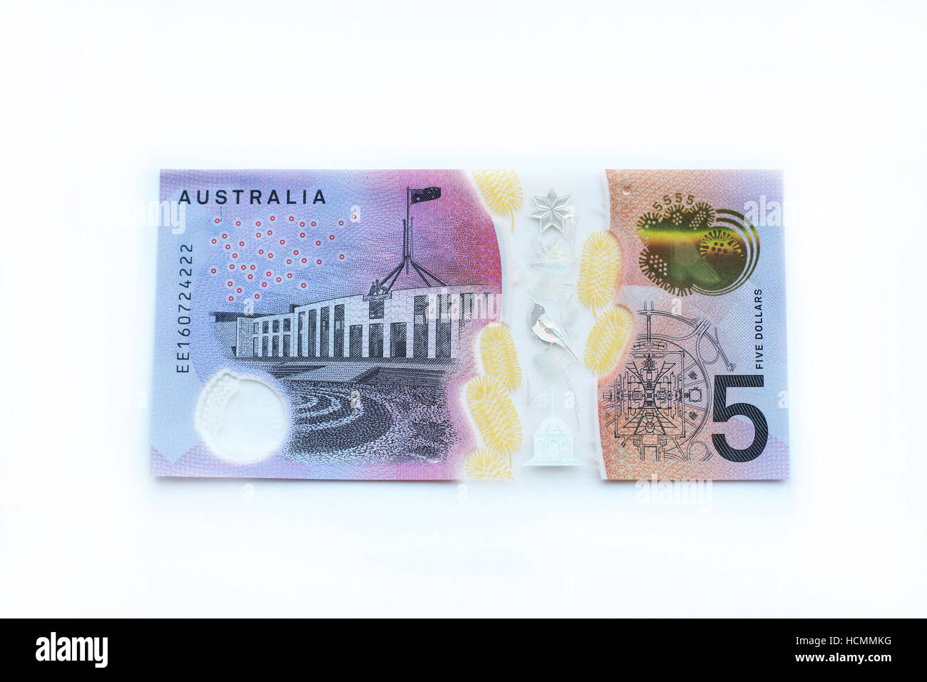 Close up of new 5 Australian dollar bank note Banque D'Images