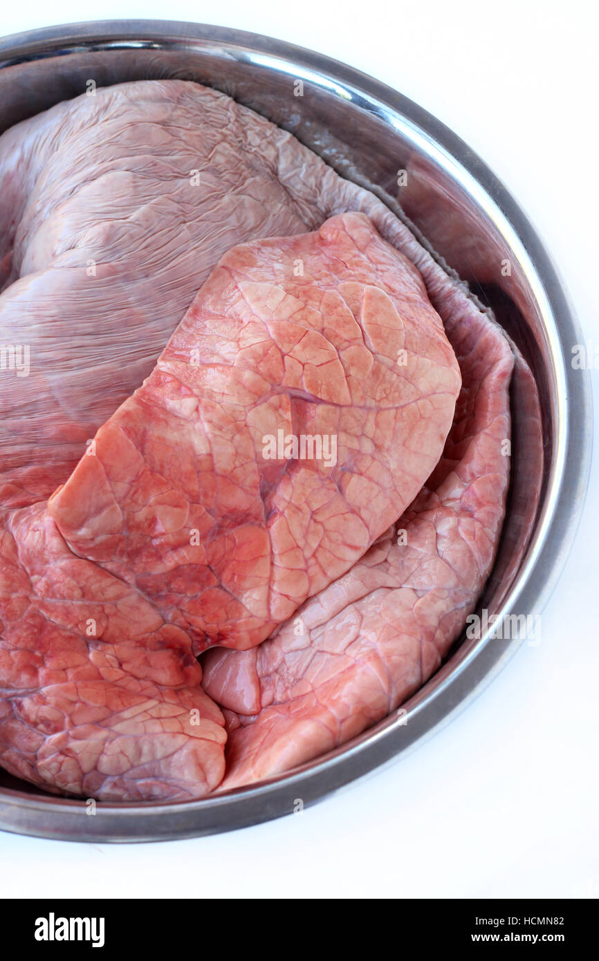 Close up de poumons de boeuf dans un bol en acier inoxydable isolés contre fond blanc Banque D'Images