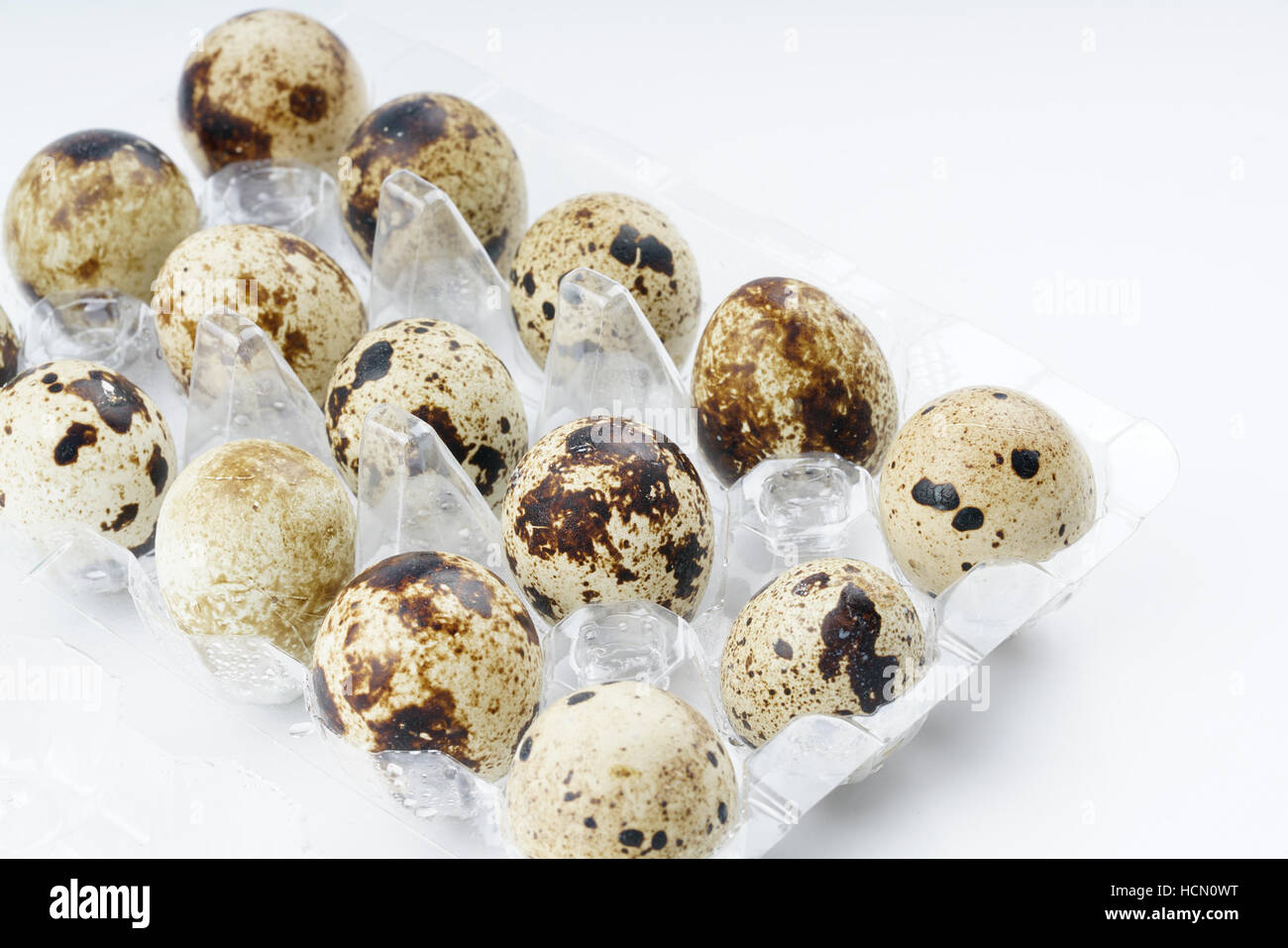 Oeufs de caille japonaise, l'alimentation et de la santé concept Banque D'Images