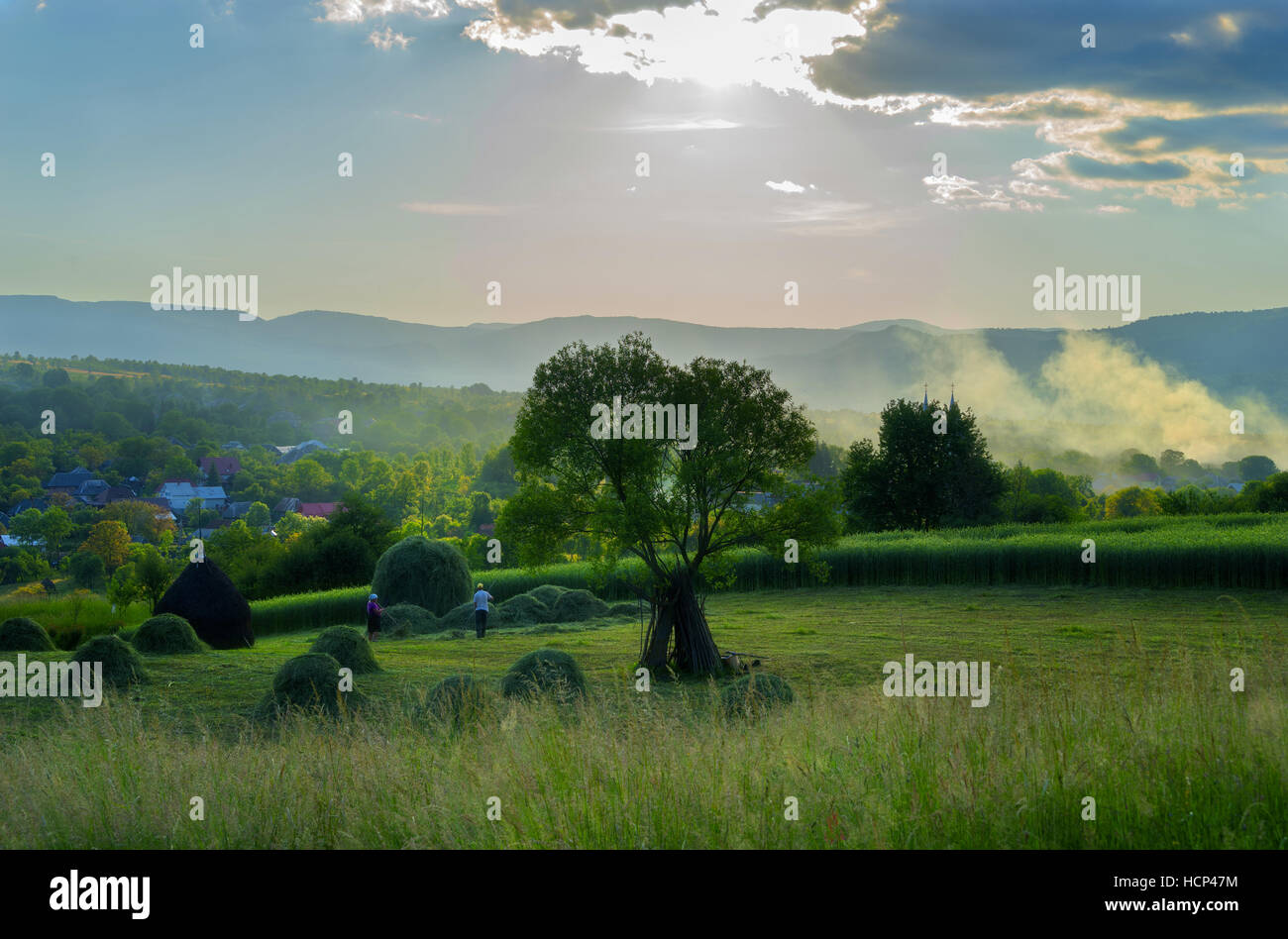 En Scène de ferme Breb Maramures Roumanie Banque D'Images