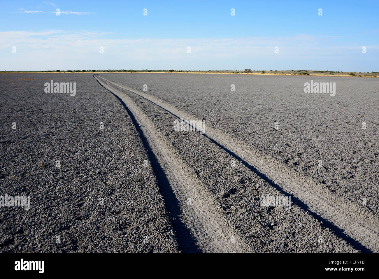 Les traces de pneus par la tromperie Pan dans la tromperie Vallée de la Central Kalahari Game Reserve, Botswana Banque D'Images