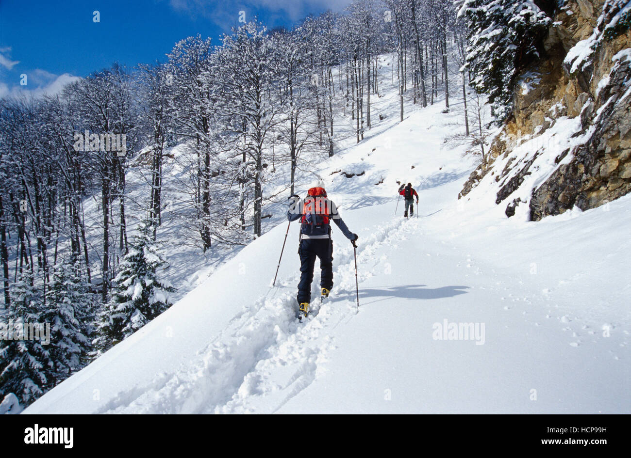 Sur un itinéraire de ski skieur dans les contreforts des Alpes, Parc National de Kalkalpen, Haute Autriche, Autriche, Europe Banque D'Images