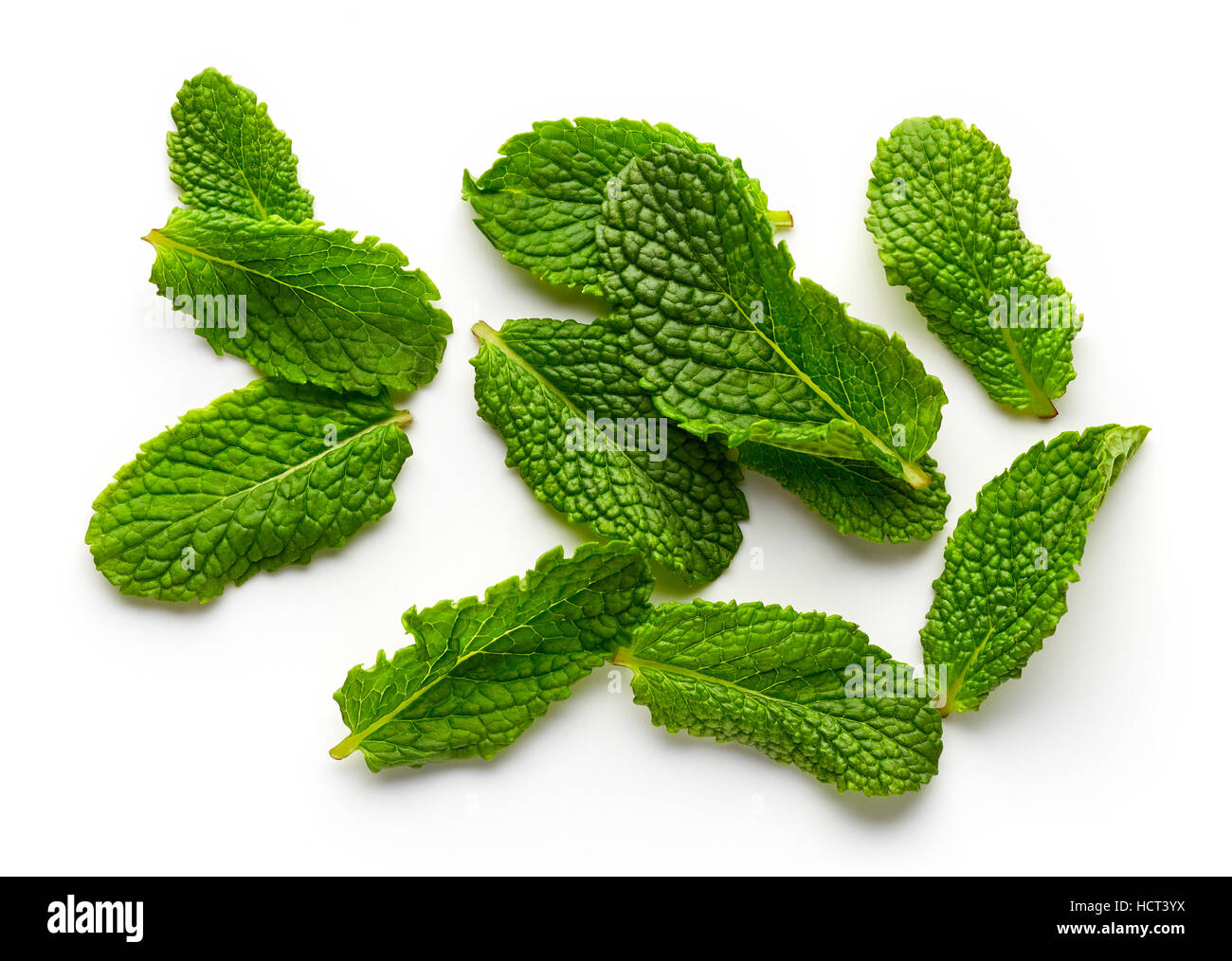 Les feuilles de menthe isolé sur fond blanc, vue du dessus Banque D'Images