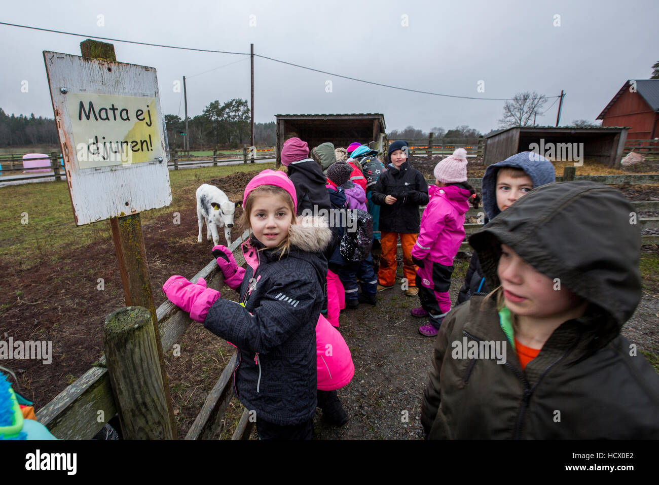 Les enfants de visiter une ferme. Banque D'Images