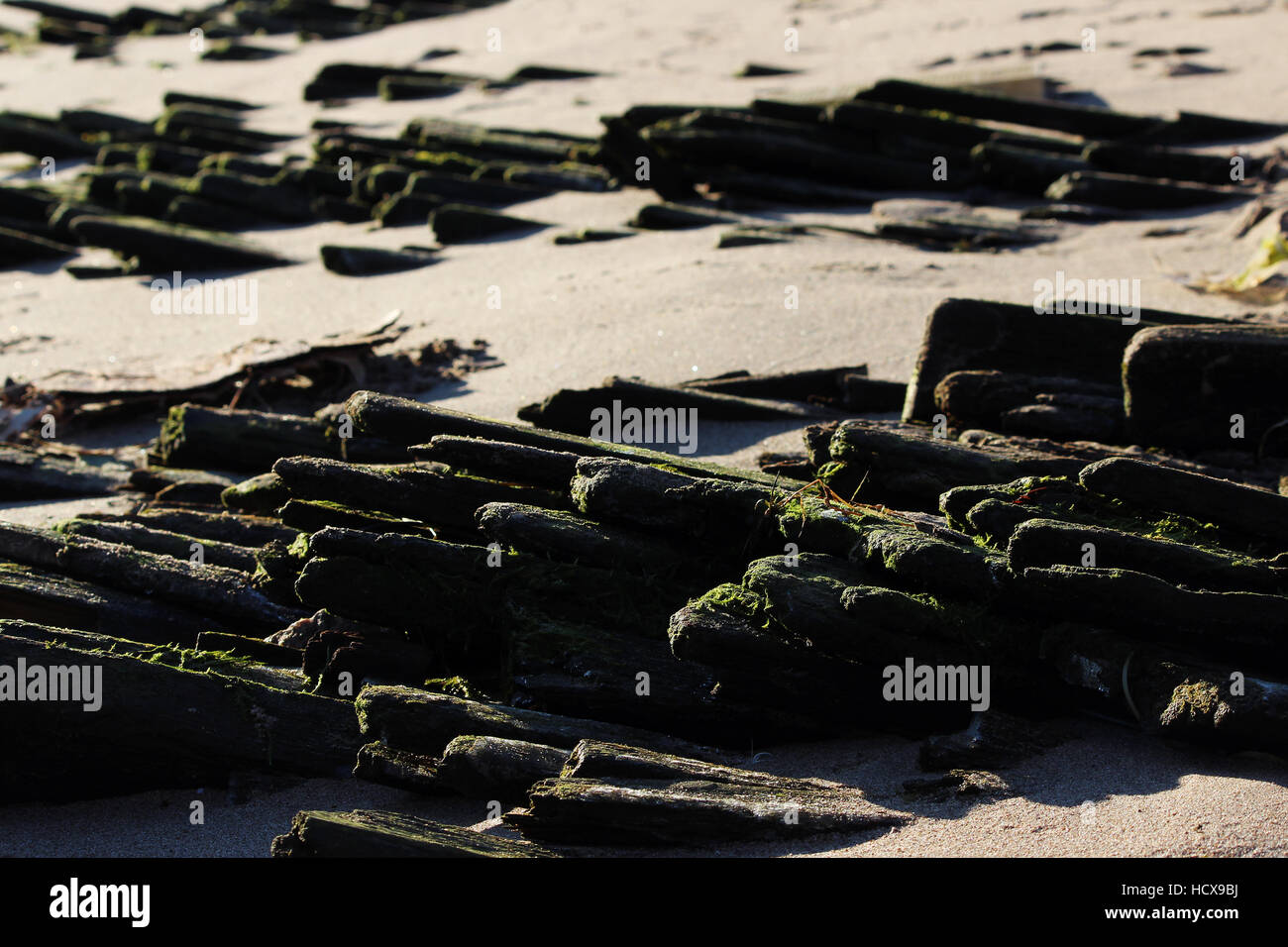 Historique ancienne plate-forme en bois sur la rive de la rivière Dvina Septentrionale, radeaux de bois logs recueillis dérive flottante Banque D'Images