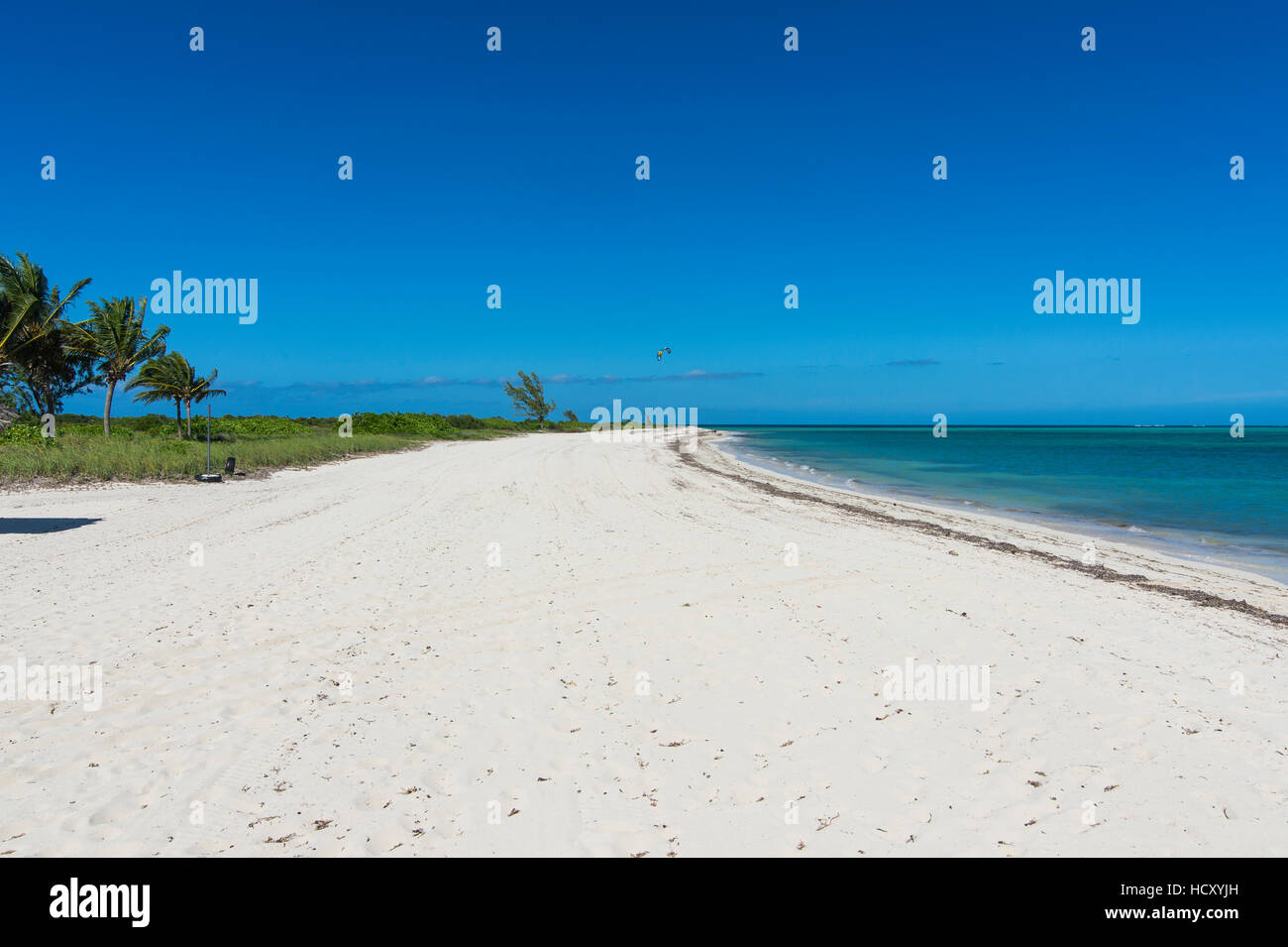 Longue plage de sable blanc dans le nord de Providenciales, Turks et Caicos, Caraïbes Banque D'Images
