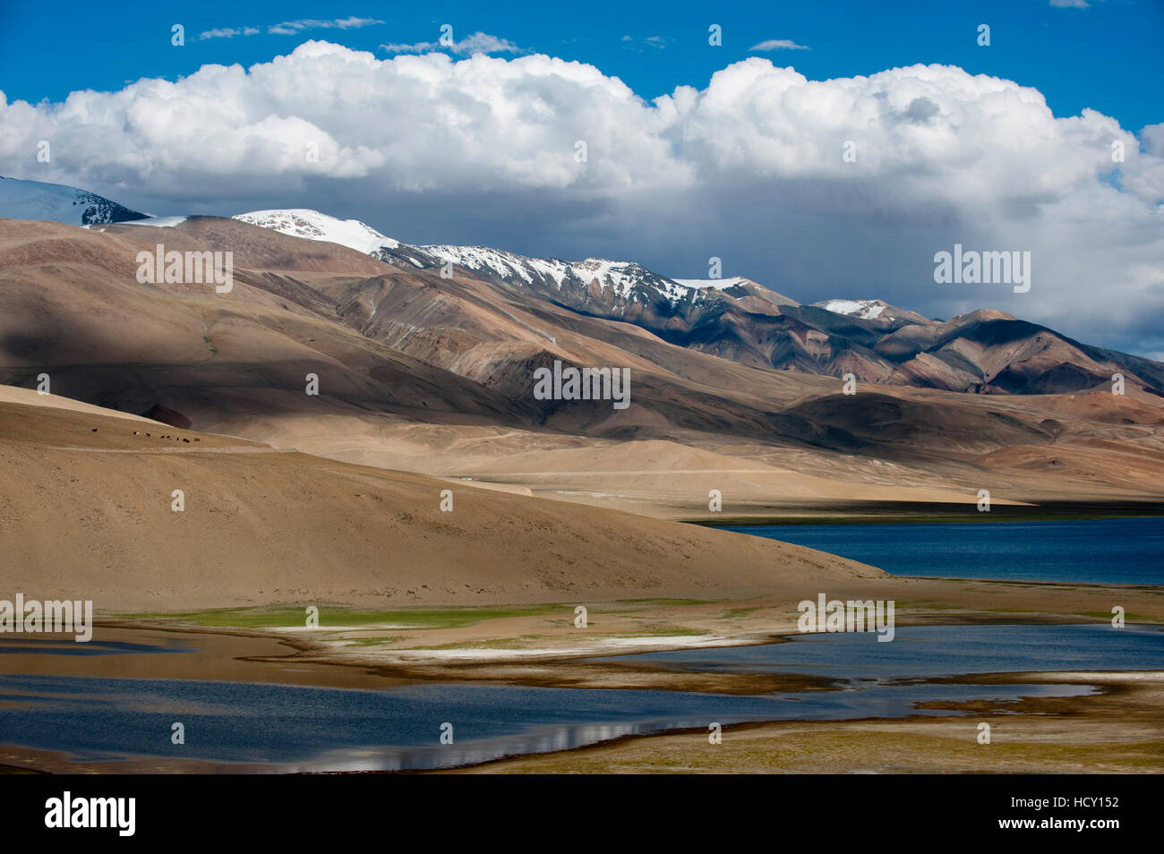 Le lac Tso Moriri à une altitude de 4595m, Ladakh, Inde du nord Banque D'Images
