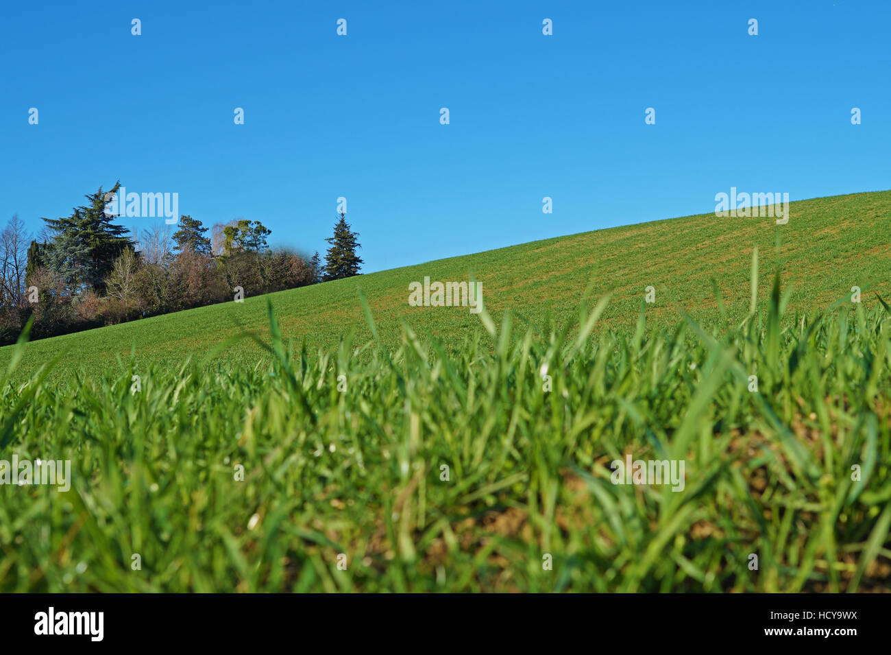 Vue panoramique de nice colline verte on blue sky Banque D'Images