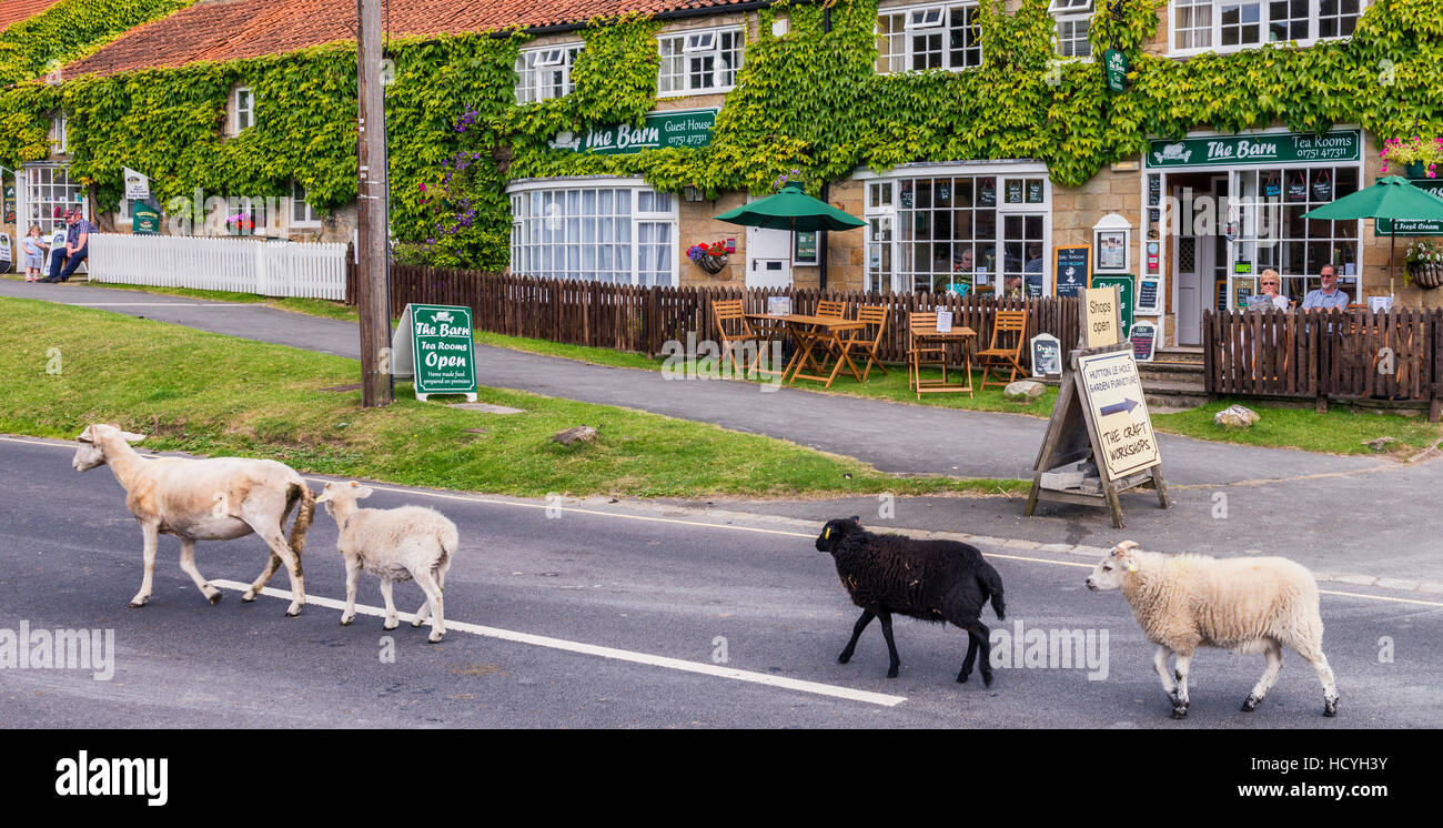 L'errance des moutons de la rue principale de Hutton le Hole Village Banque D'Images