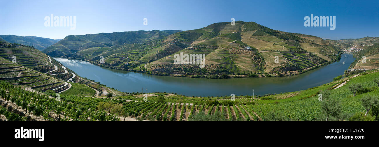 Le Portugal, l'Alto Douro, les vignobles de la vallée du Douro, près de Pinhao Banque D'Images