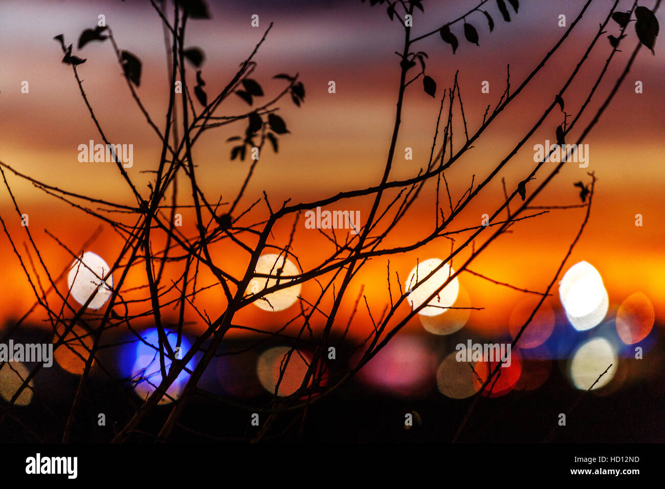 Coucher de soleil et lumières de la ville floues dans une vue d'arrière-plan floue à travers des branches sans feuilles Banque D'Images