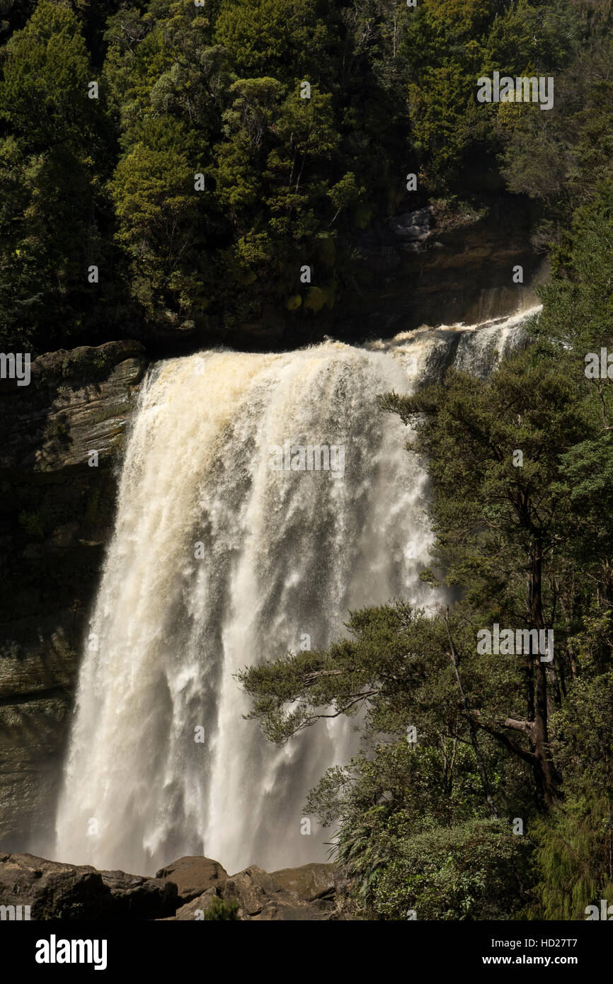 La charmante promenade du ruisseau passe l'impressionnant 25 mètre de haut Mangatini tombe dans la gorge de Ngakawau tonitruantes. Banque D'Images