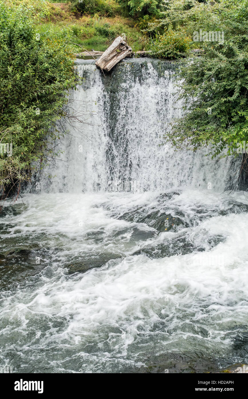 Vue d'une section de Tumwater Falls de Tumwater, Washington. Banque D'Images