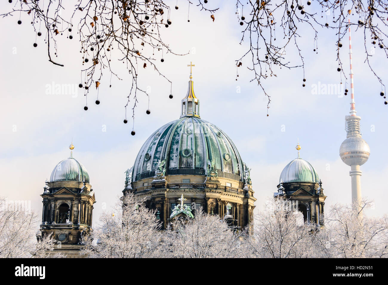 Vue sur le Berliner Dom, de l'Allemagne à travers les arbres d'hiver Banque D'Images