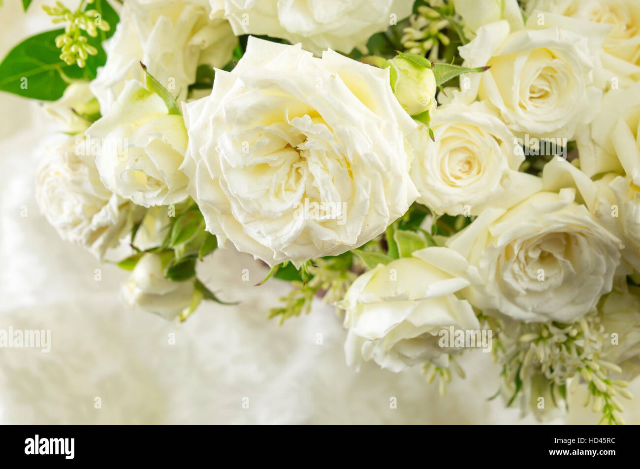 Bouquet de roses blanches disposées sur un linge blanc Banque D'Images Bouquet de roses blanches disposées sur un linge blanc Banque D'Images