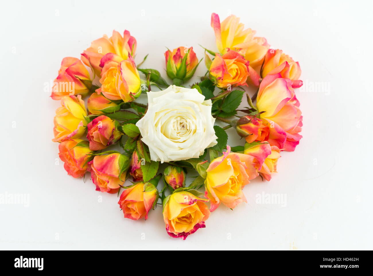 Bouquet de roses de la saint valentin Banque de photographies et d