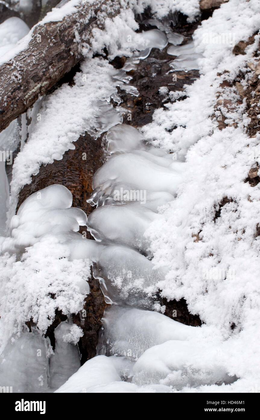 La glace a formé au-dessus de eaux Dunnings Spring Park Decorah, Iowa, États-Unis. Banque D'Images