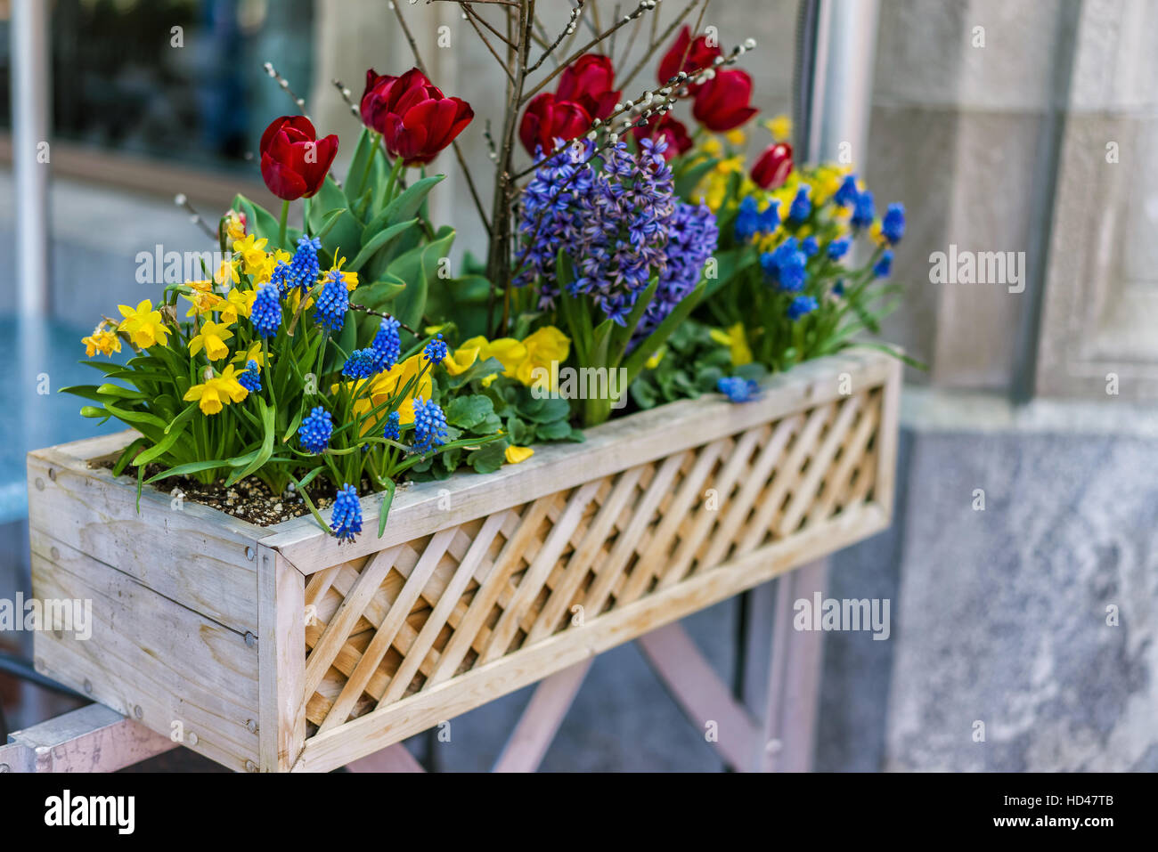 Mélange de fleurs comme les tulipes et pensées présentées dans le pot de  fleur en bois sur la rue de Boston, aux États-Unis. Ces pots de fleurs  Photo Stock - Alamy